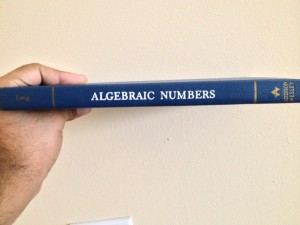 Algebraic Numbers by Serge Lang published by Addison Wesley